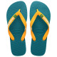 Havaianas Brasil Logo Havaianas Brasil Logo